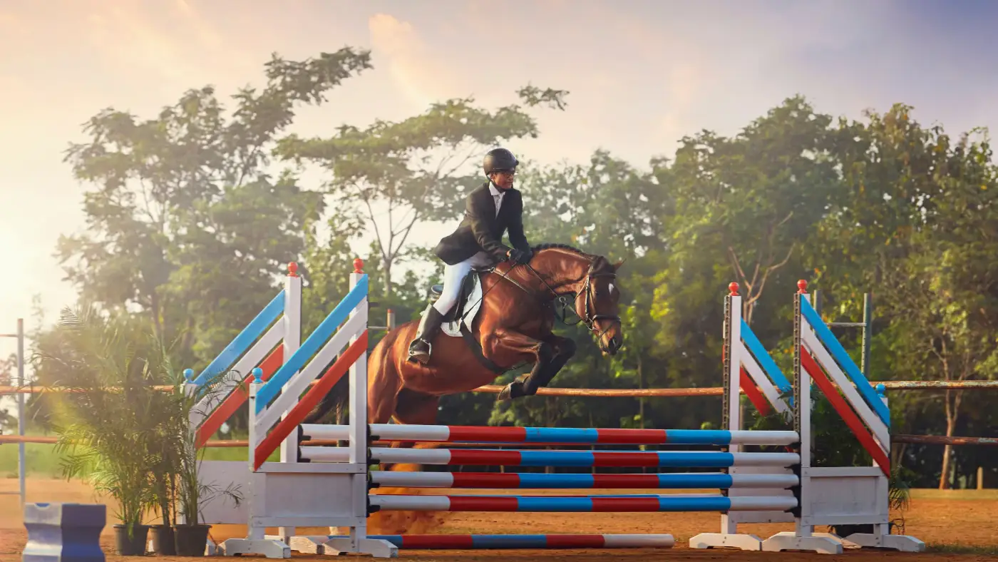 Show jumping arena