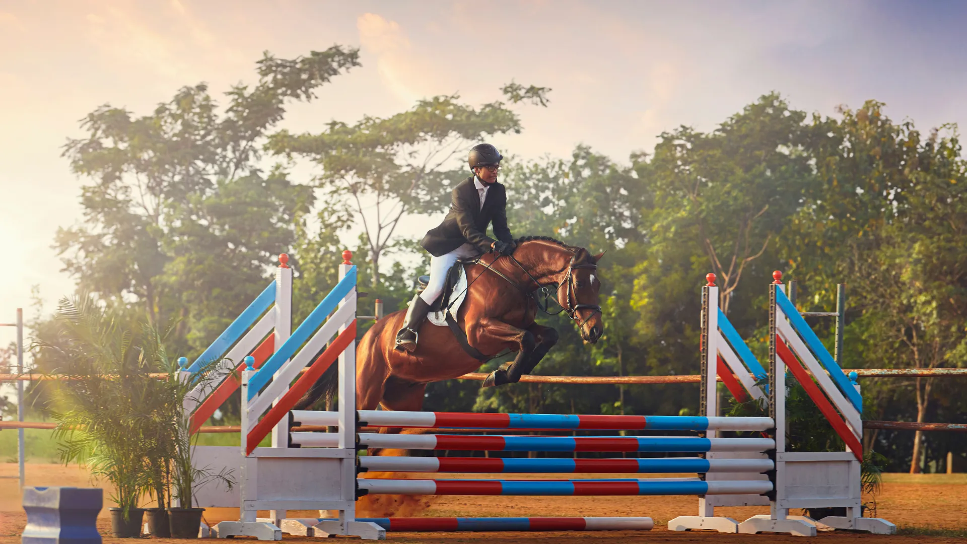 Show jumping arena