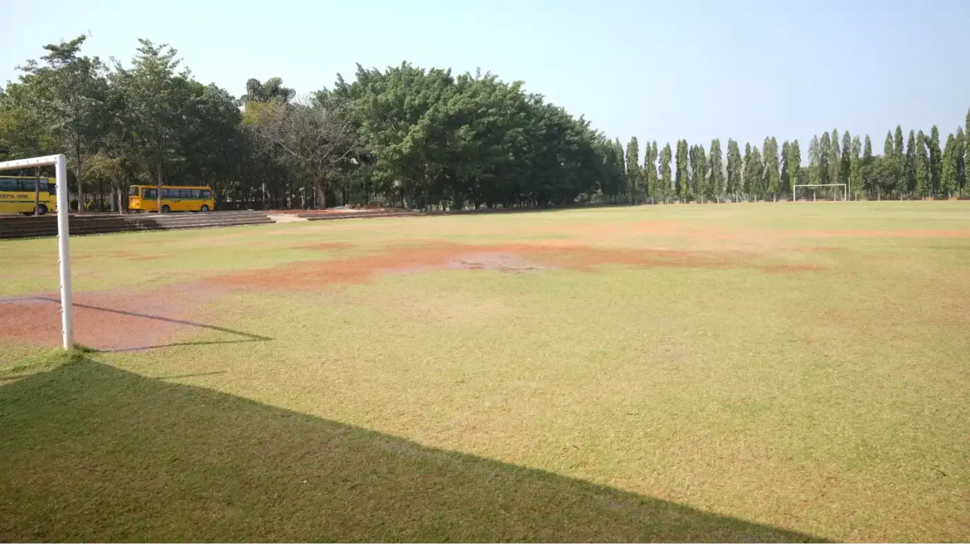 11-a-side football pitch