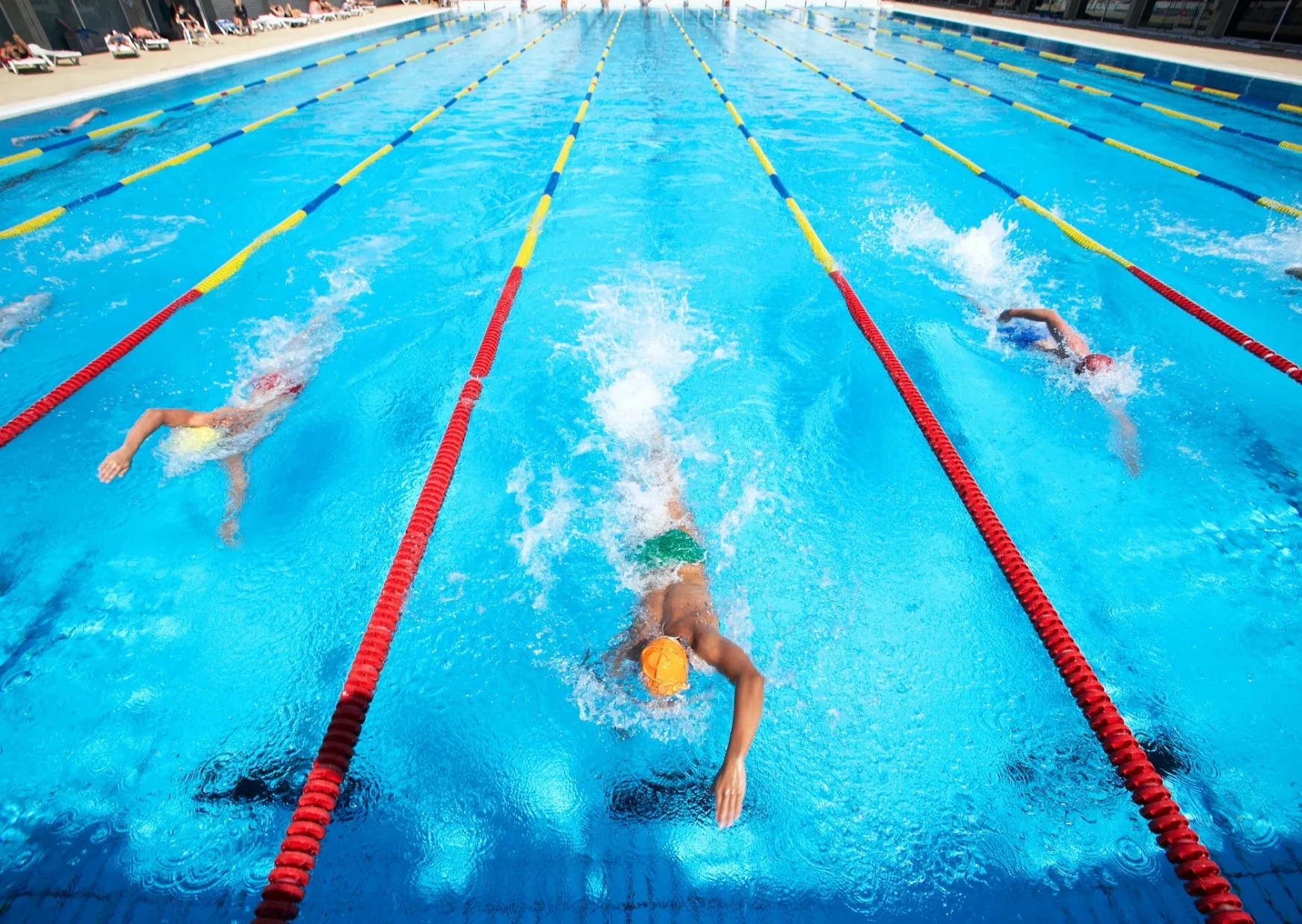 Swimmers racing in an Olympic-standard pool